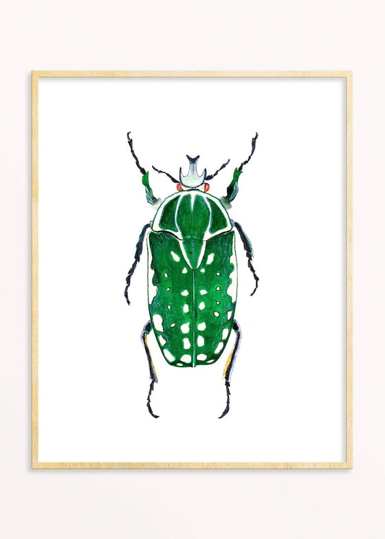 Snoogs & Wilde Art |  Beetle #6