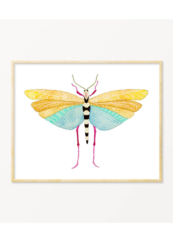 Snoogs & Wilde Art | Grasshopper #4