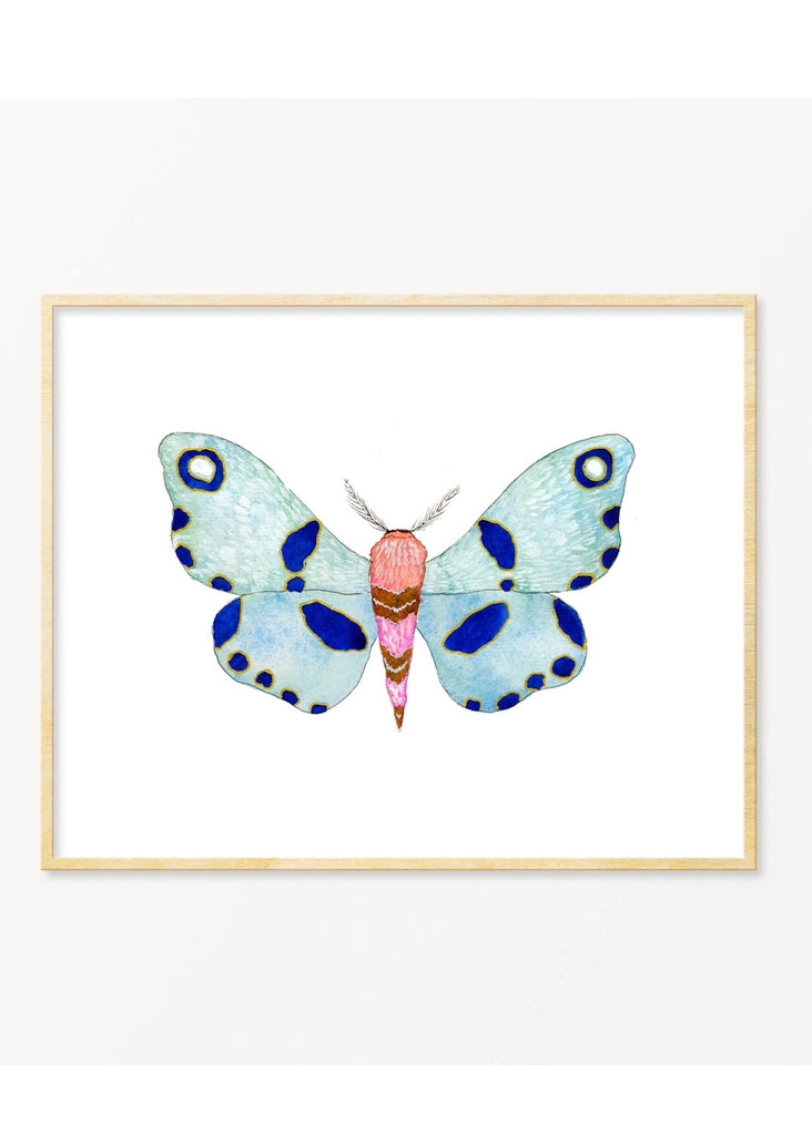 Snoogs & Wilde Art | Moth #15
