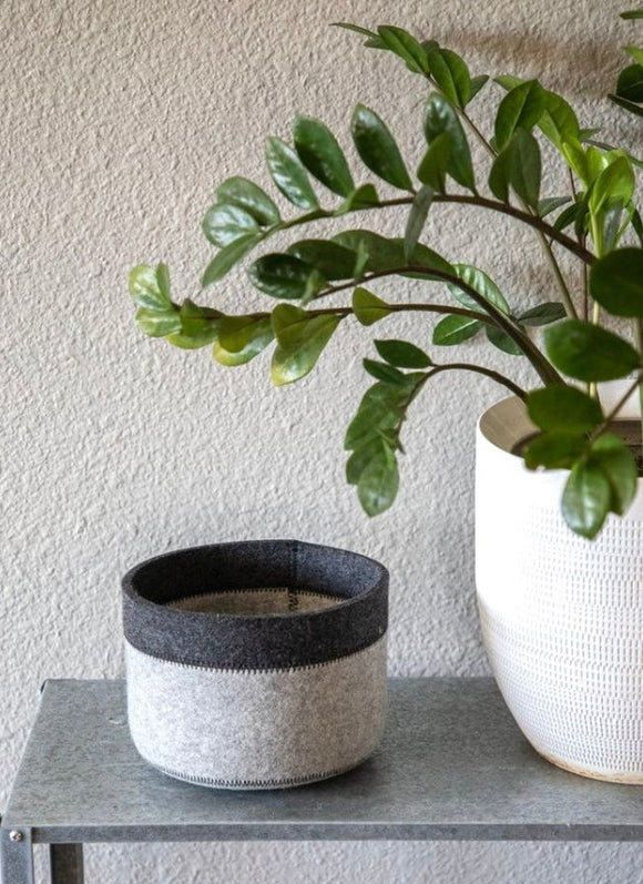 The Phoenix Guide to Sustainable Spring Home and Garden: Eco-Friendly Tips and Ideas