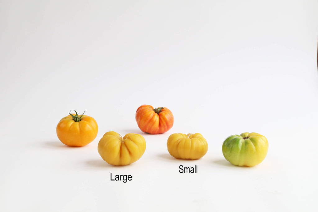Artifaqt | Heirloom Tomato Beeswax Candle