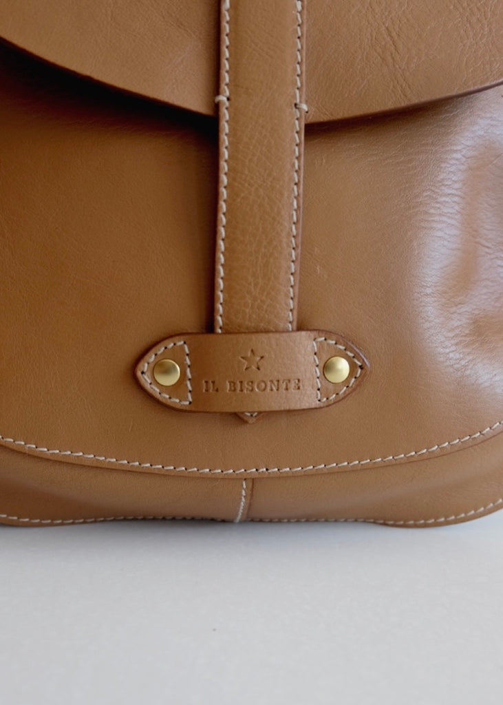 Archivio Saddle Crossbody Bag Gianduia
