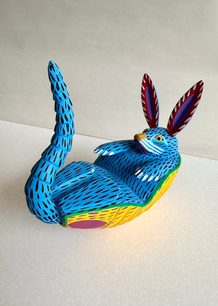 Armando Jimenez | Blue Armadillo