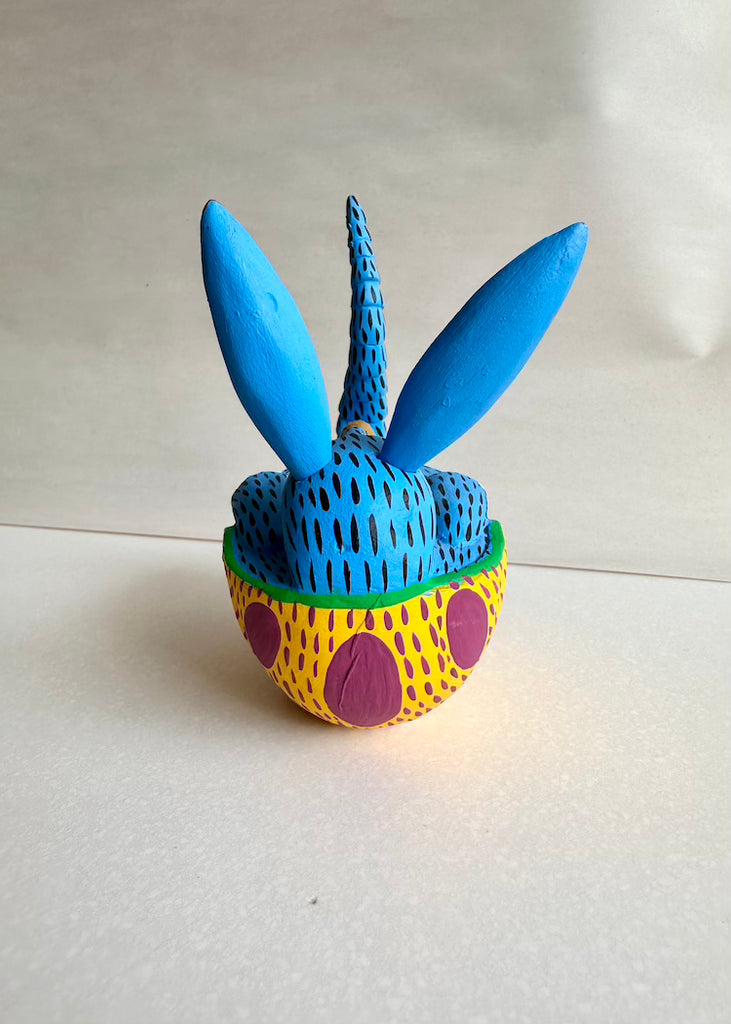 Armando Jimenez | Blue Armadillo