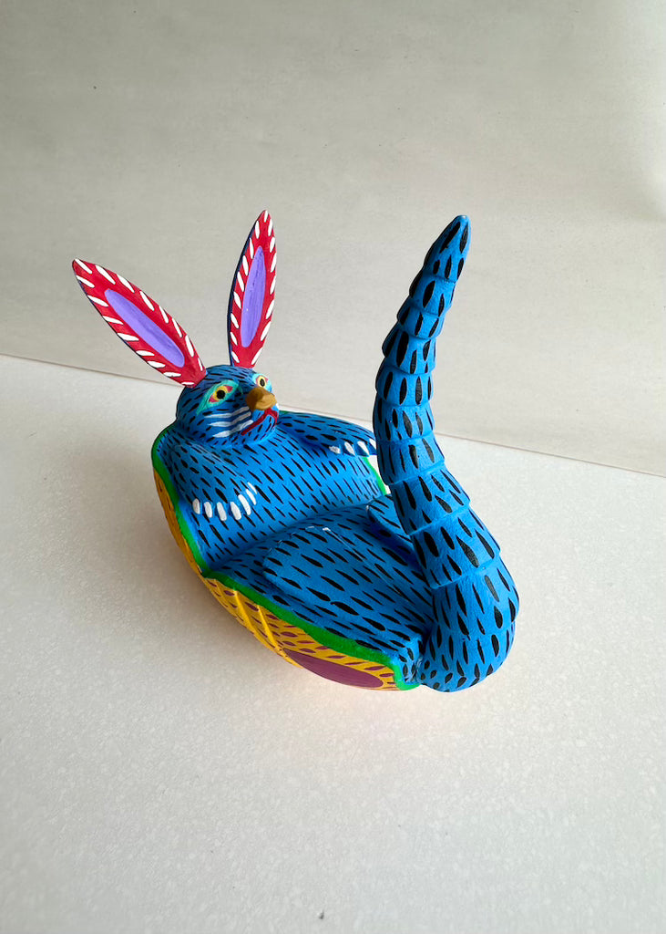 Armando Jimenez | Blue Armadillo