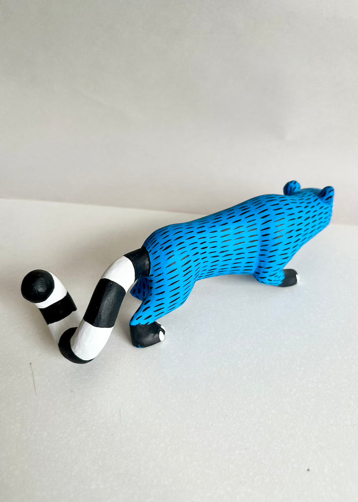 Armando Jimenez | Blue Coati