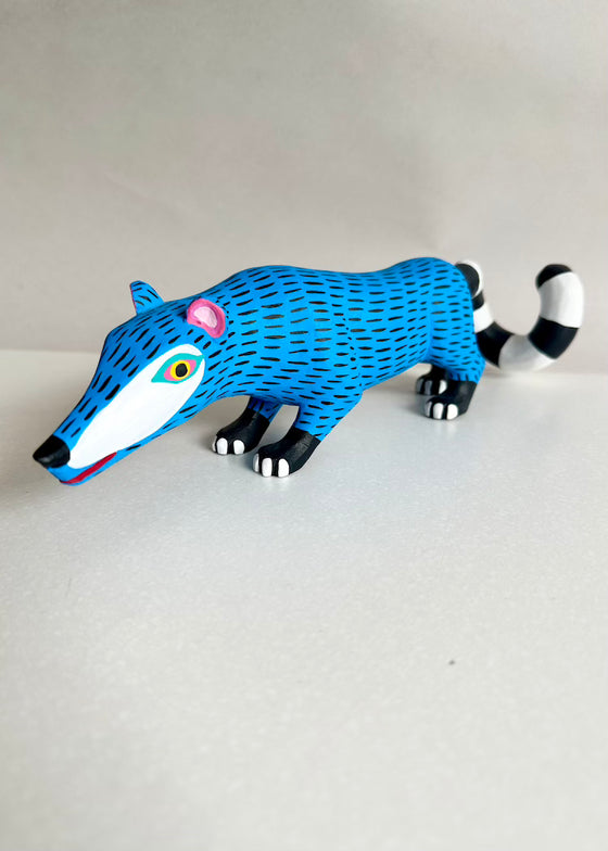 Armando Jimenez | Blue Coati
