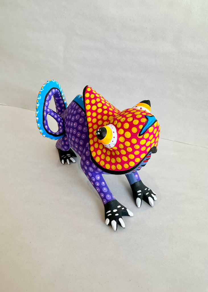 Armando Jimenez | Chameleon