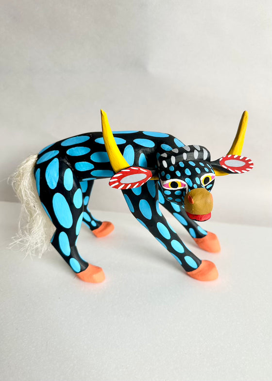 Armando Jimenez | Cow