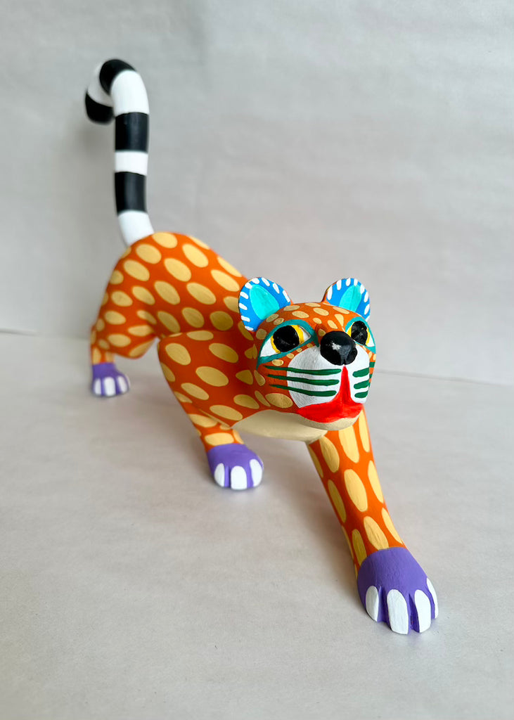 Armando Jimenez | Jaguar