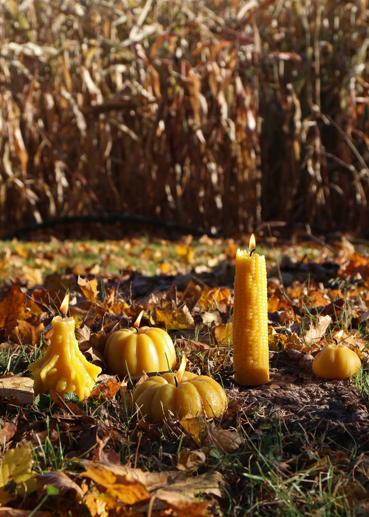 Artifaqt | Carnival Squash Beeswax Candle