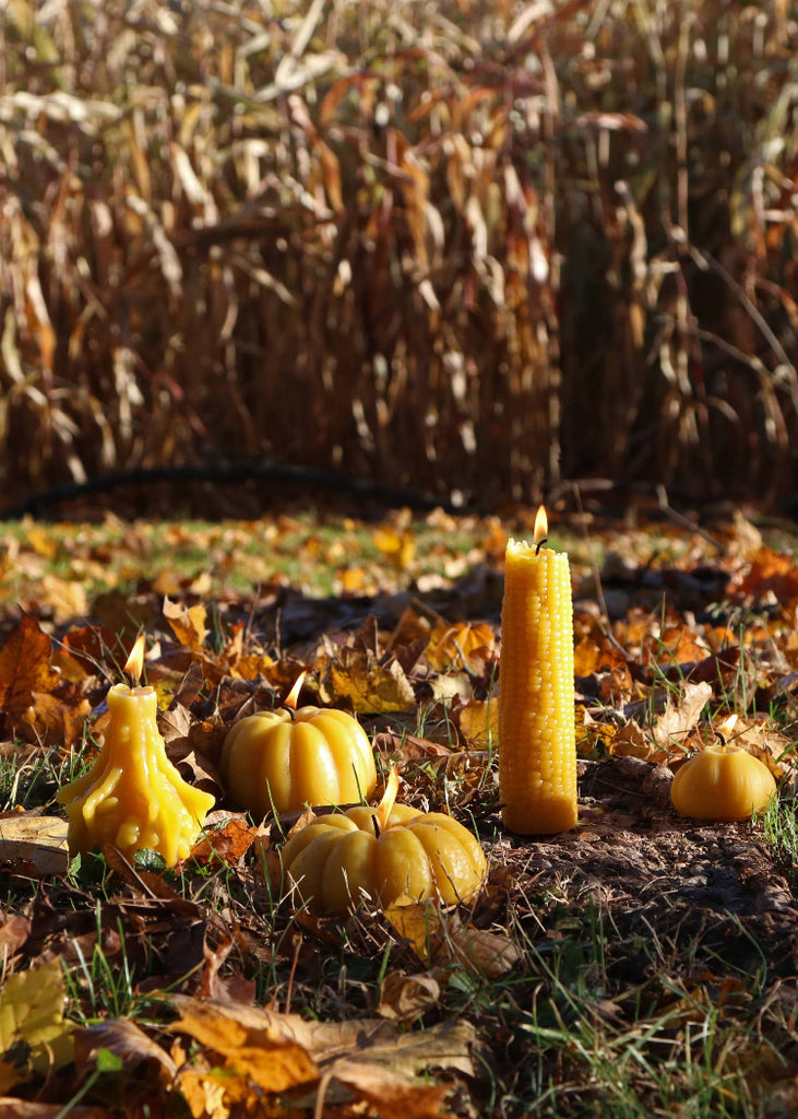Artifaqt | Gourd Beeswax Candle