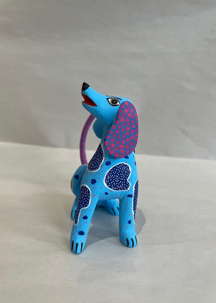 Blue + Pink Dog