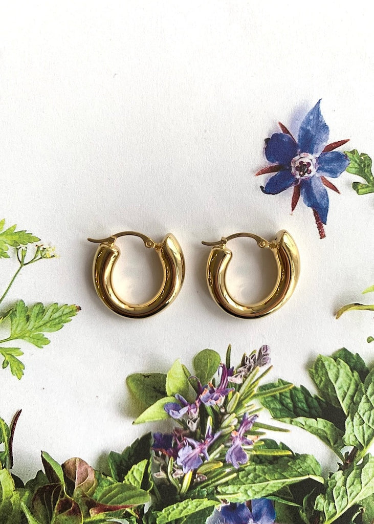 Carla Corp | 14k Gold Chubby Tapered Hoop Earrings