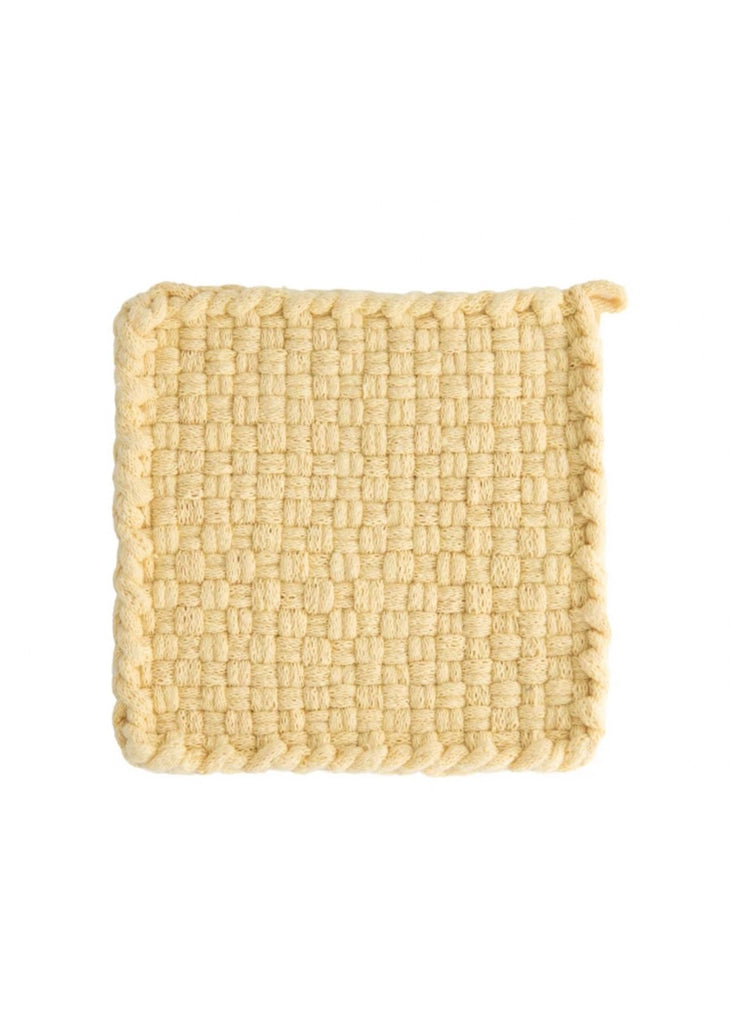 Kate Kilmurray | Earth Collection | Daffodil