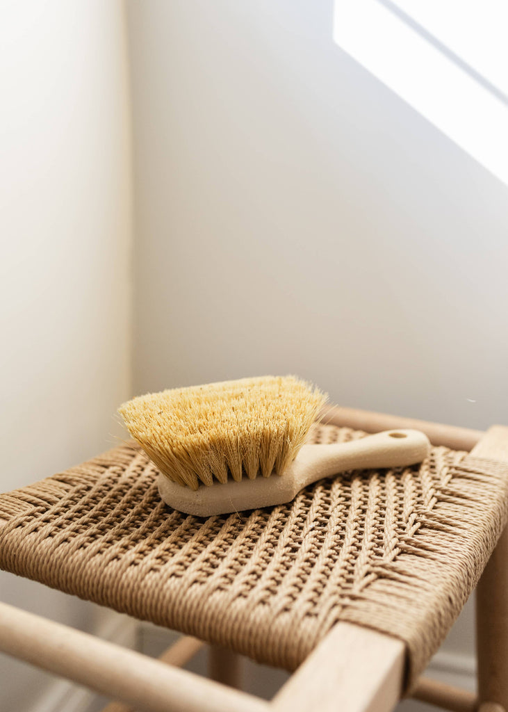 Dry Brush with Handle