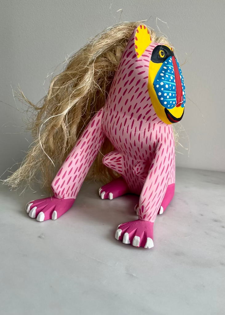 Eduardo Jimenez | Pink Mandril
