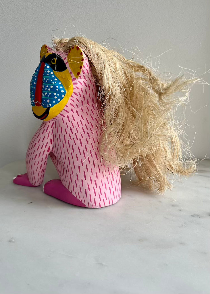 Eduardo Jimenez | Pink Mandril