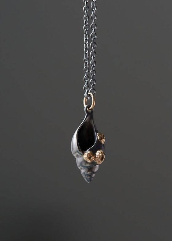 Hannah Blount | Small Tulip Shell Necklace | 14k Barnacles