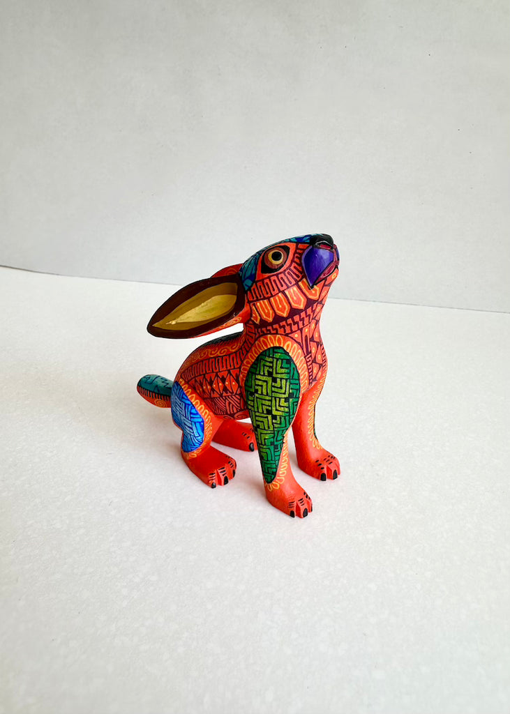 Jacobo Angeles | Sitting Rabbit