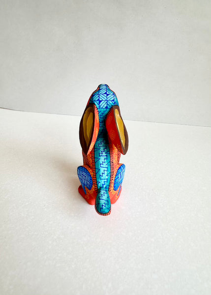 Sitting Rabbit - The Phoenix