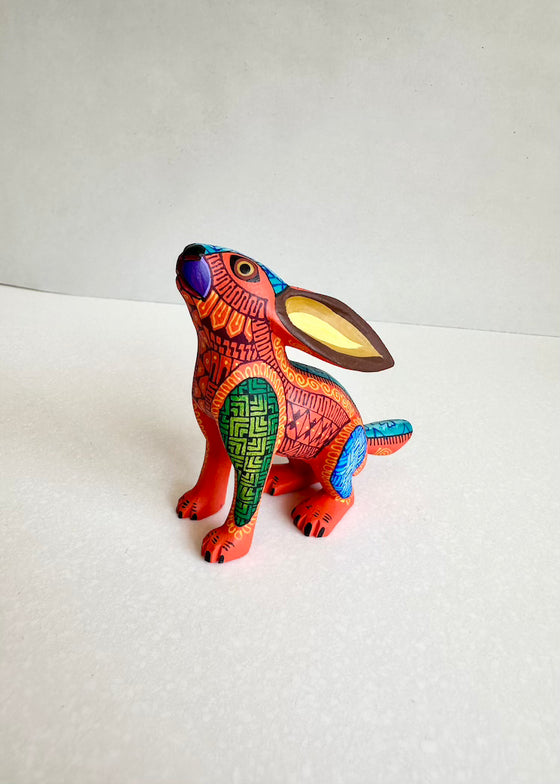 Jacobo Angeles | Sitting Rabbit