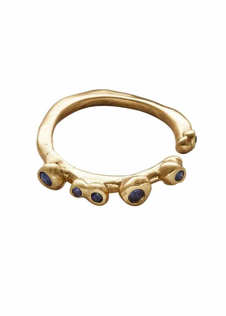 Julie Cohn | Delta Sapphire Adjustable Bronze Ring