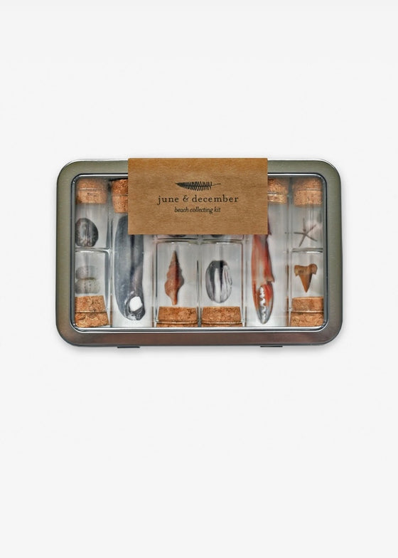 June & December | Beach Collecting Kit