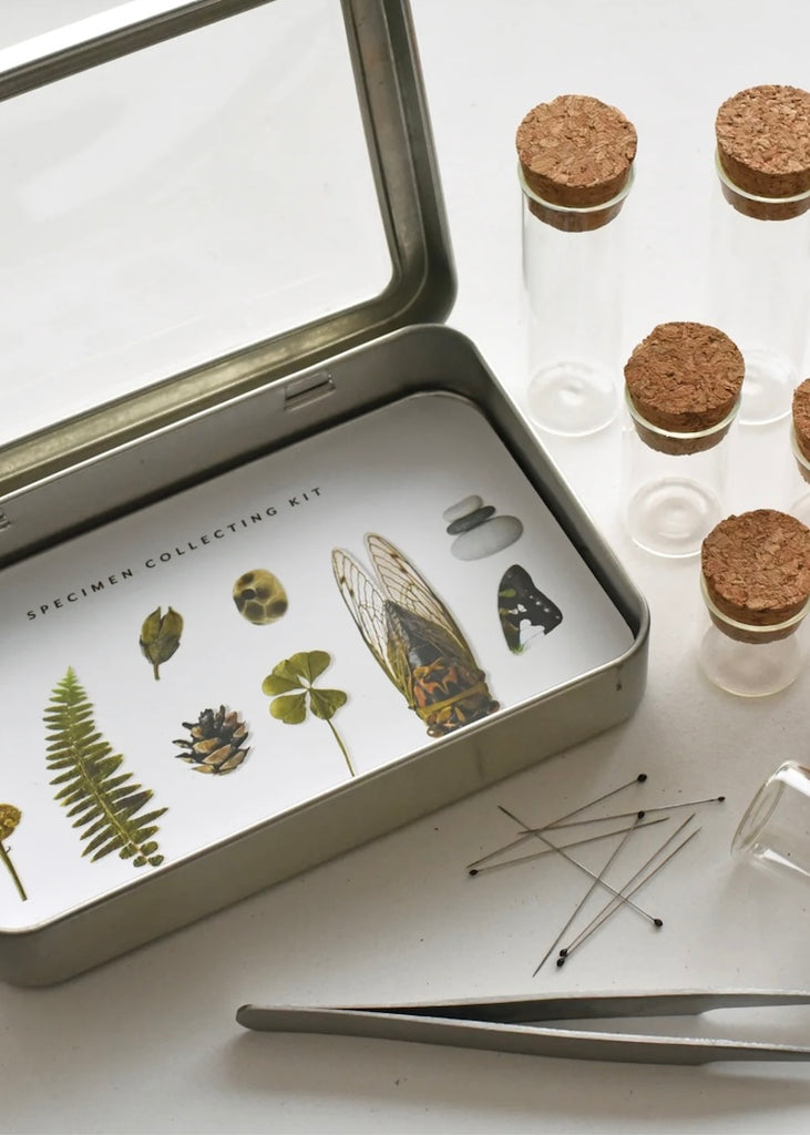 June & December | Specimen Collecting Kit