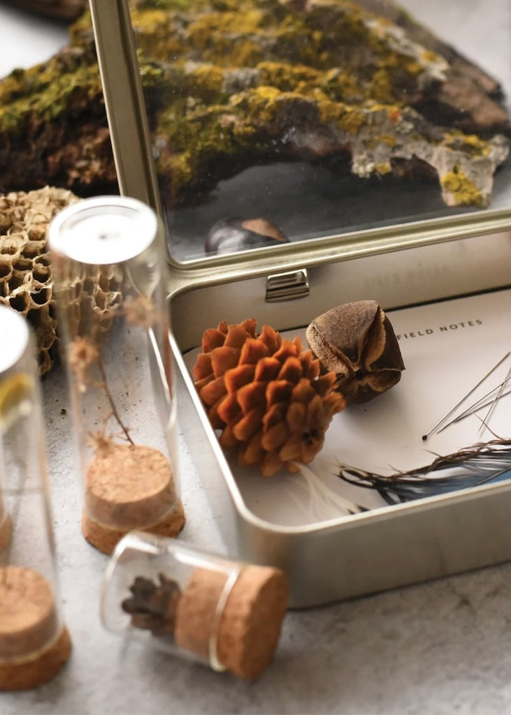 June & December | Specimen Collecting Kit