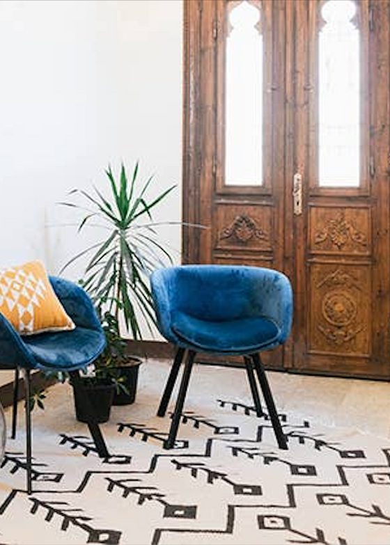 Kiliim | Hayat Rug 2' x 3'
