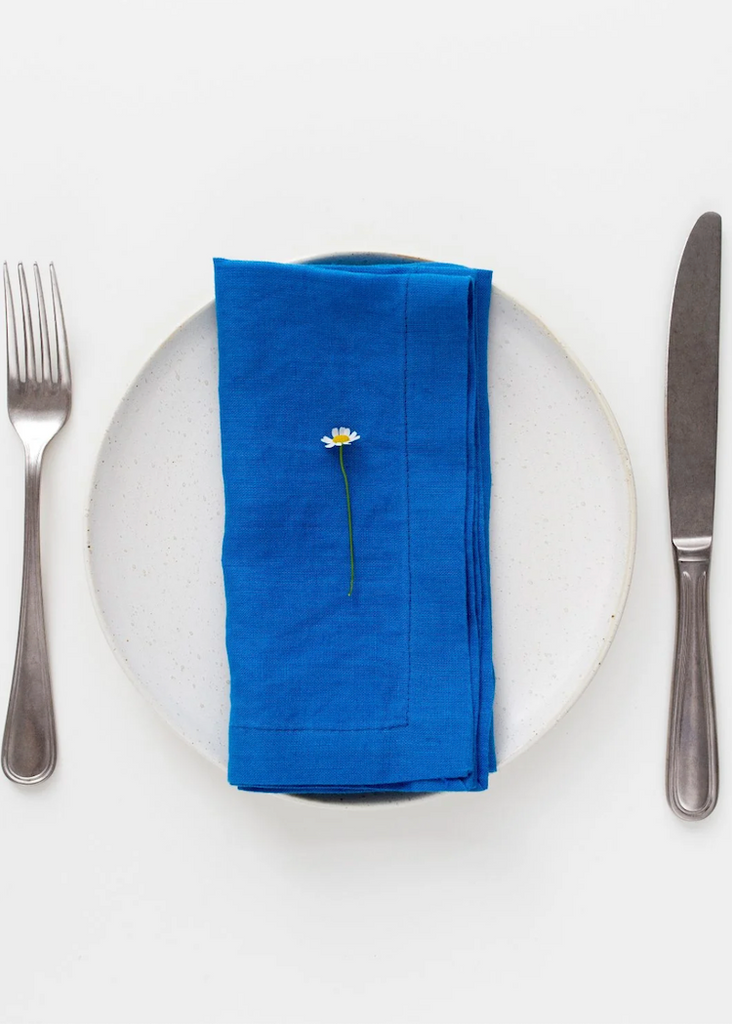 Linen Napkins Set of 2 | French Blue