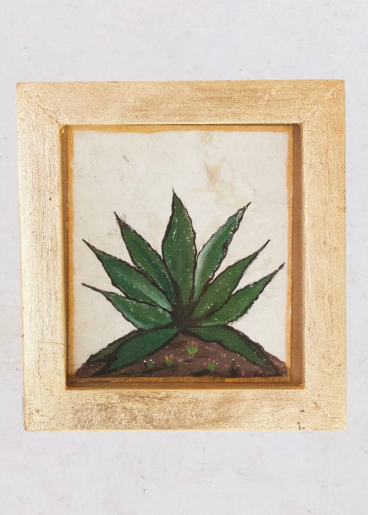 Luis Romero | Agave Cactus Framed Painting