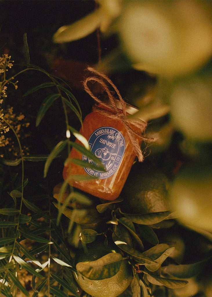 Marmalade Grove | Sunrise Pixie Tangerine Marmalade | 5 oz