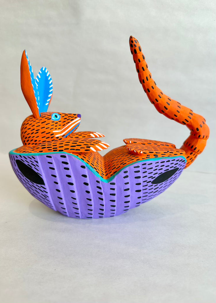 Moises Jimenez | Orange Armadillo