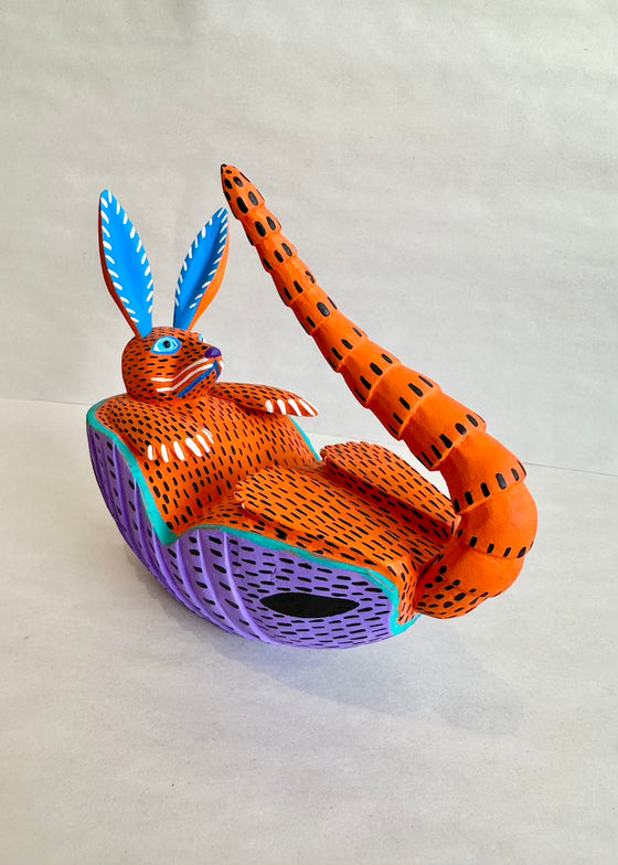 Moises Jimenez | Orange Armadillo