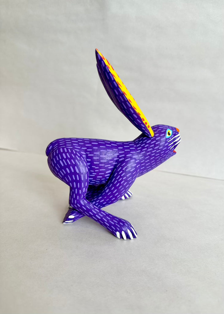 Moises Jimenez | Purple Rabbit