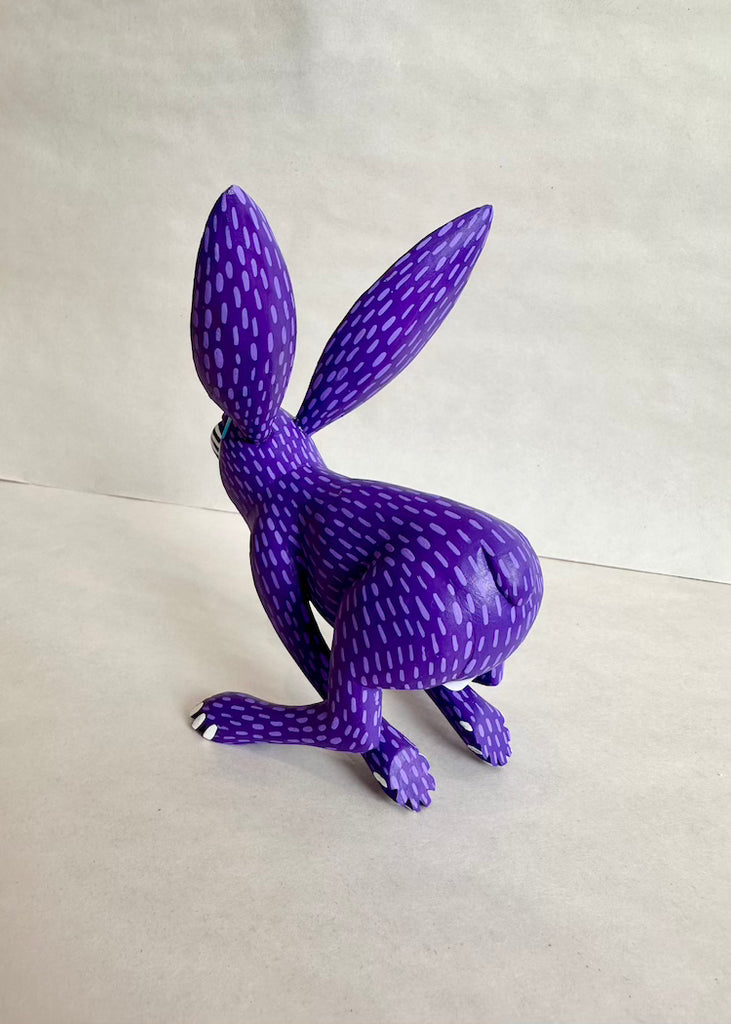 Moises Jimenez | Purple Rabbit
