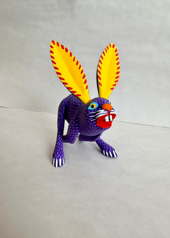 Moises Jimenez | Purple Rabbit