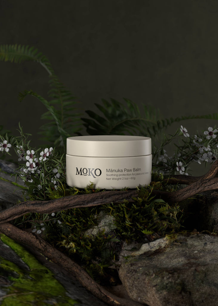 Moko | Moko Mānuka Paw Balm