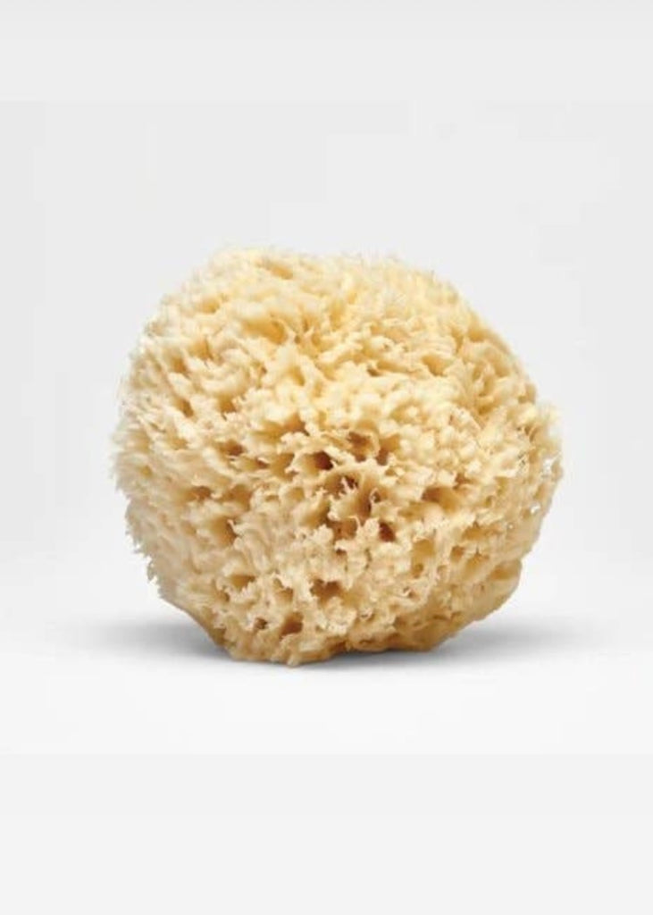 Nectar Republic | Large Natural Bath Sea Sponge