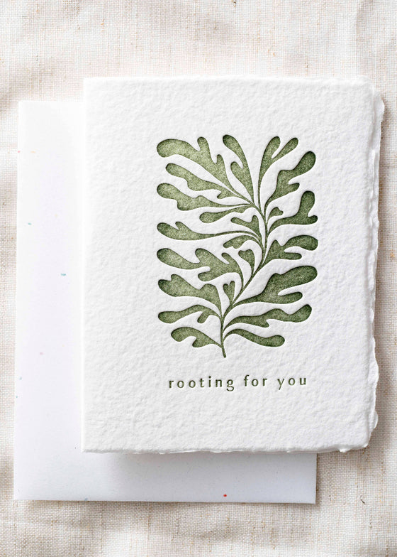Paper Baristas | Rooting for You