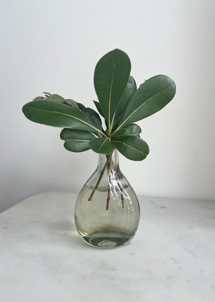 Recycled Handblown Glass | Small Curved Vase