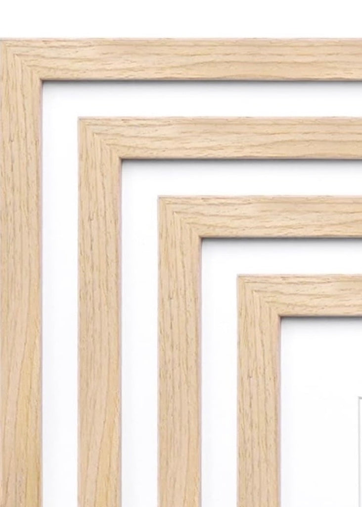 Sarah Madeira Day | Frame
