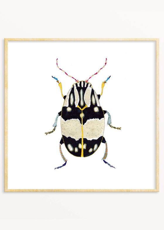 Snoogs & Wilde Art | Beetle #12