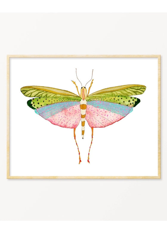 Snoogs & Wilde Art | Grasshopper #1