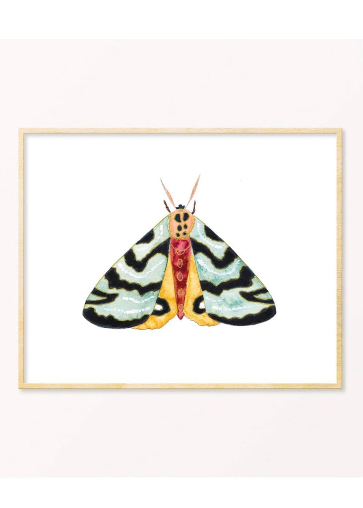 Snoogs & Wilde Art | Moth #11 | 5 x 7