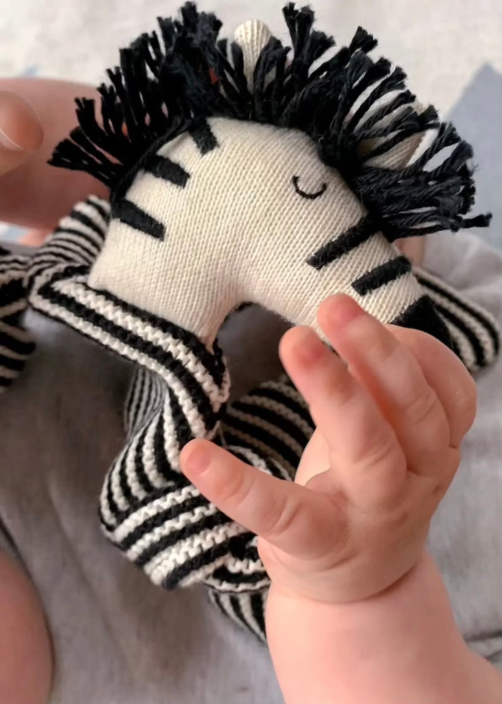 Sophie Home | Cotton Cuddle Cloth | Zebra