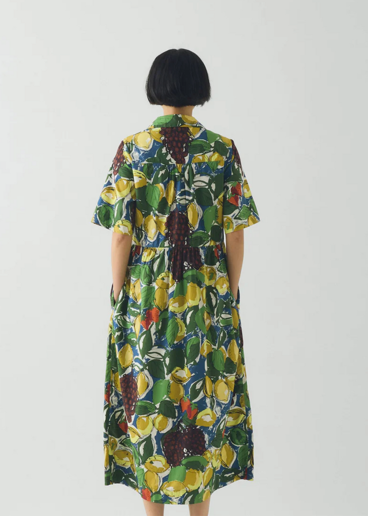TOAST | Sketched Fruit Print Shirt Dress