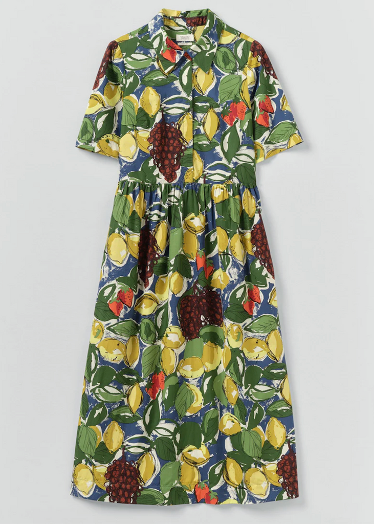 TOAST | Sketched Fruit Print Shirt Dress